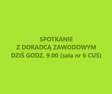 doradztwo zawodowe